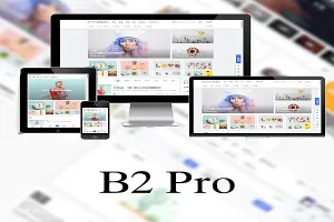 B2 PRO主题设置聚合登录教程 7B2.com